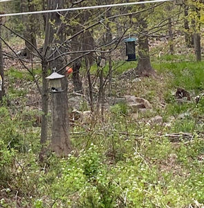 Meet your Posher, Gweneth